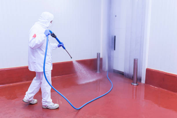 Best Pool Deck Cleaning  in Harrison, NJ