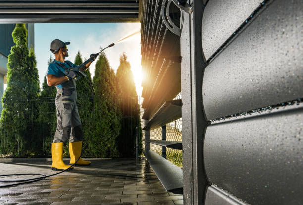 Best Rust Removal  in Harrison, NJ